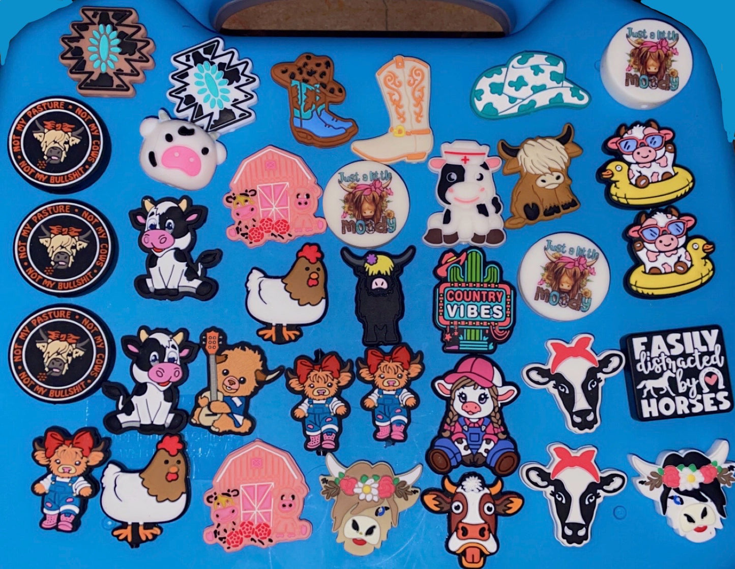 Seasonal/Premium Charms