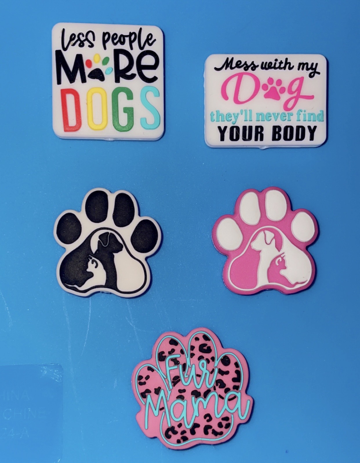 Seasonal/Premium Charms